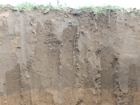 soil profile