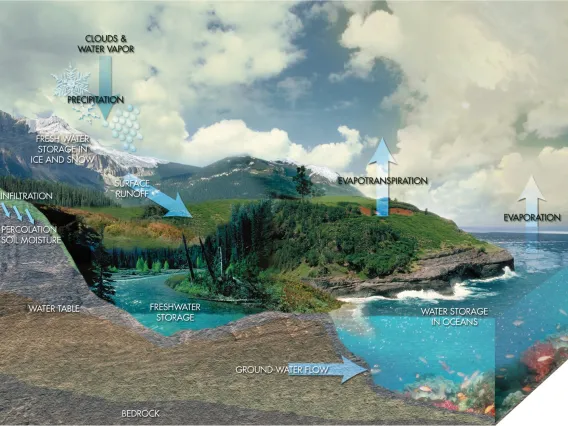 The Hydrologic Cycle